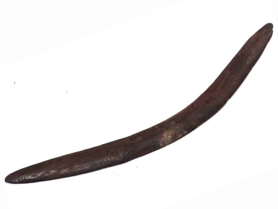 aboriginal hunting boomerang tribal oceanic