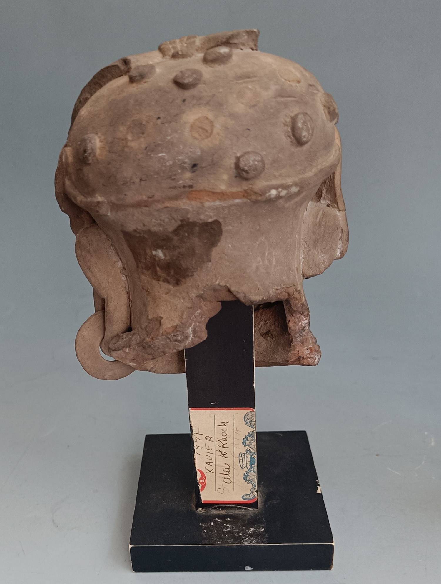 Pre Columbian Head Veracruz Mexico Circa 600-900 A.D - Image 2